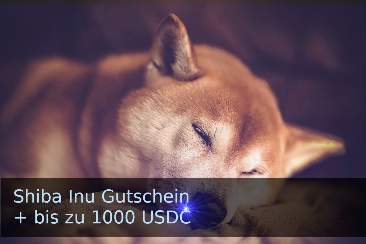 Shiba Inu Gutschein & bis zu 1000 USDC von Binance sichern